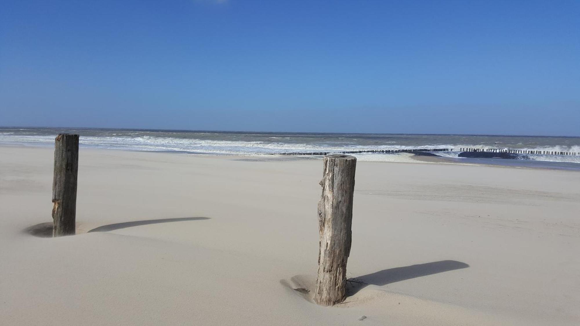 Vakantiehuis Lepelblad 6 *